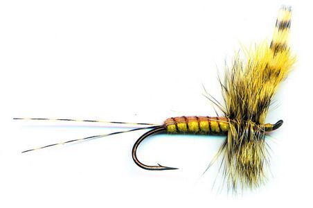 FLY-hex ultimate 6 | AuSable River Two Fly Shop